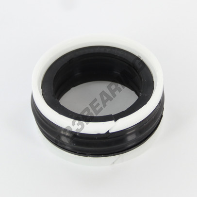 TP1-31X45X15.50-NBR90