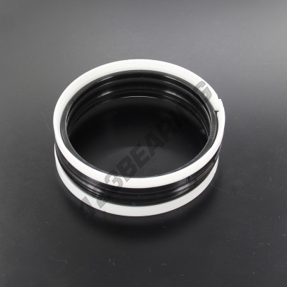 TP1-86X100X22.50-NBR90