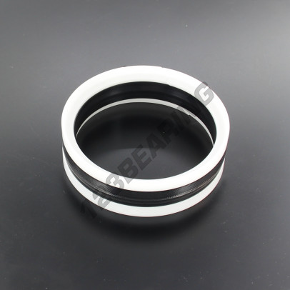 TP2-86X100X22.50-NBR90