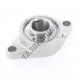 Cojinete hierro fundido - 2 fijaciones - UCFL207-INOX