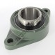 Cojinete hierro fundido - 2 fijaciones - UCFL215