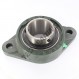 Cojinete hierro fundido - 2 fijaciones - UCFL216