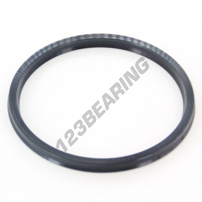 UP-90X100X6.50-NBR90