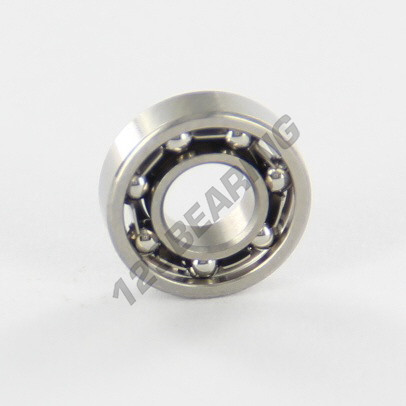 W618-4-INOX-SKF