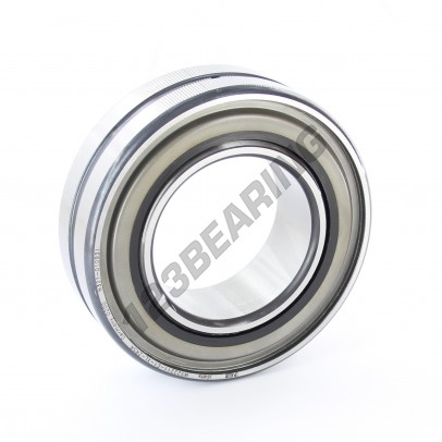 WS22211-E1-XL-2RSR-FAG