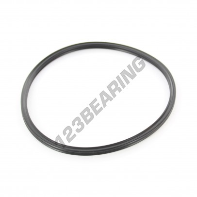 XR-123.19X5.33-NBR70-N4352