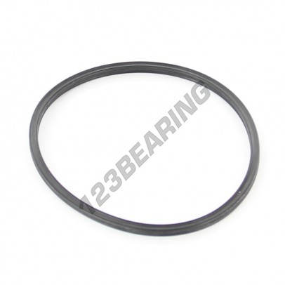 XR-58.42X2.62-NBR70-N4141